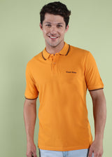 Solid Polo